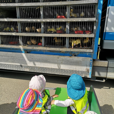 Geflügelverkauf