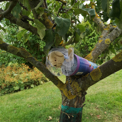 Zuckentütenfest